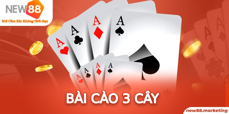 five88 vin long bảo trong baccarat là gì