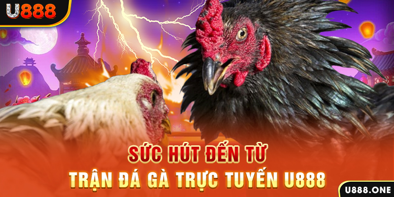 five88 vin đá gà trực tiếp c1