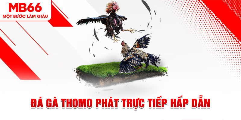 five88 vin dự đoán xổ số miền trung
