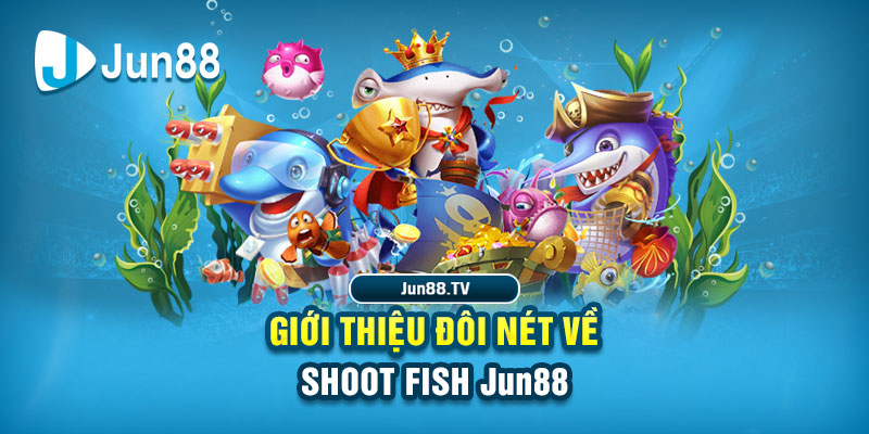 five88 vin đá gà
