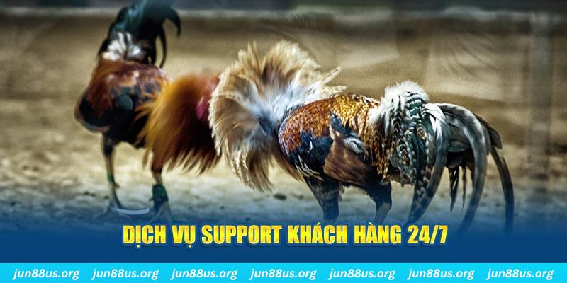 five88 vin ÁT CHỦ BÀI GIÀNH LẤY ZHUANG NIUNIU ( XEM 4 LÁ )