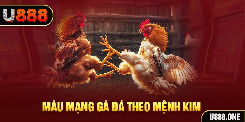 five88 vin Cỡ bảy