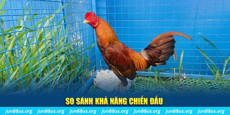 five88 vin CQ9 Điện Tử