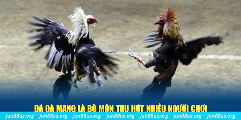 five88 vin bắn cá au88