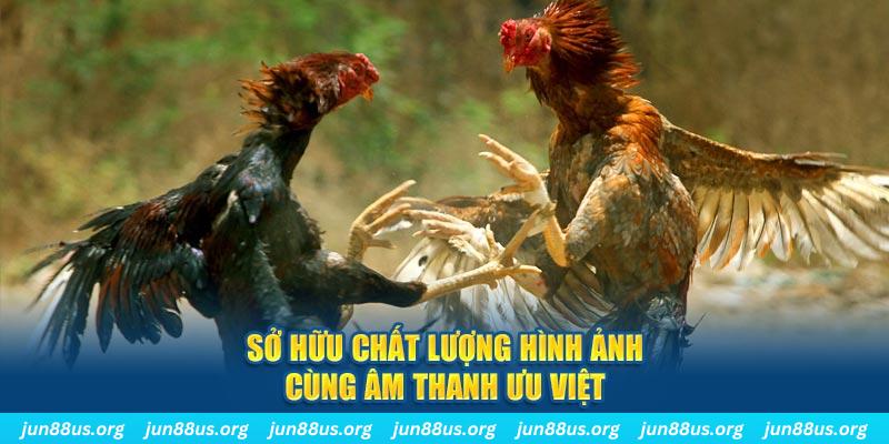 five88 vin PP Điện Tử