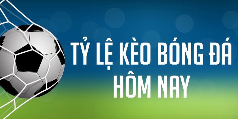 five88 vin gà chọi c1 mới nhất
