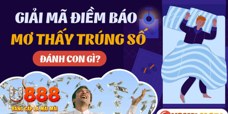 five88 vin ga choi c1