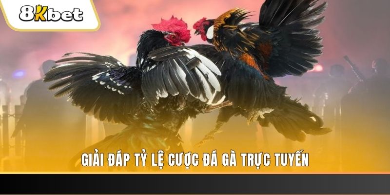 five88 vin xổ số đài miền trung