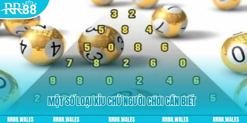 five88 vin gà chọi c1.com trực tiếp 888