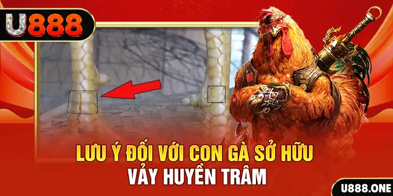five88 vin kết quả xổ số miền nam hôm nay