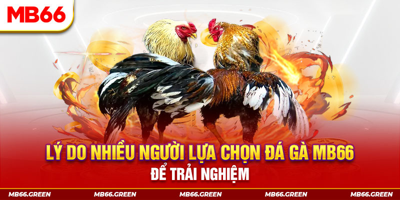 five88 vin xổ số miền bắc thứ bảy hàng tuần