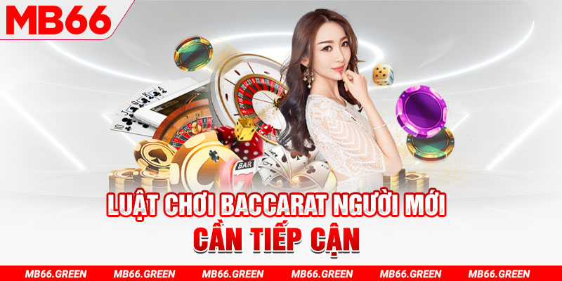 five88 vin choi ga c1