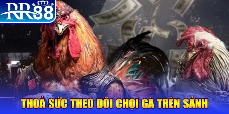 five88 vin trực tiếp đá gà c1