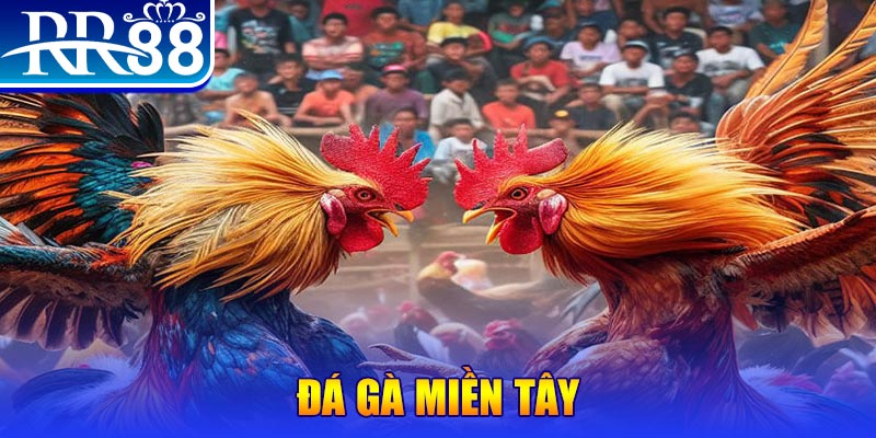 five88 vin no hu doi thuong ai