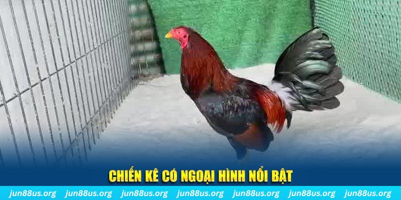 five88 vin game nổ hũ là gì