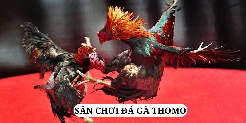 five88 vin trực tiếp xổ số miền bắc